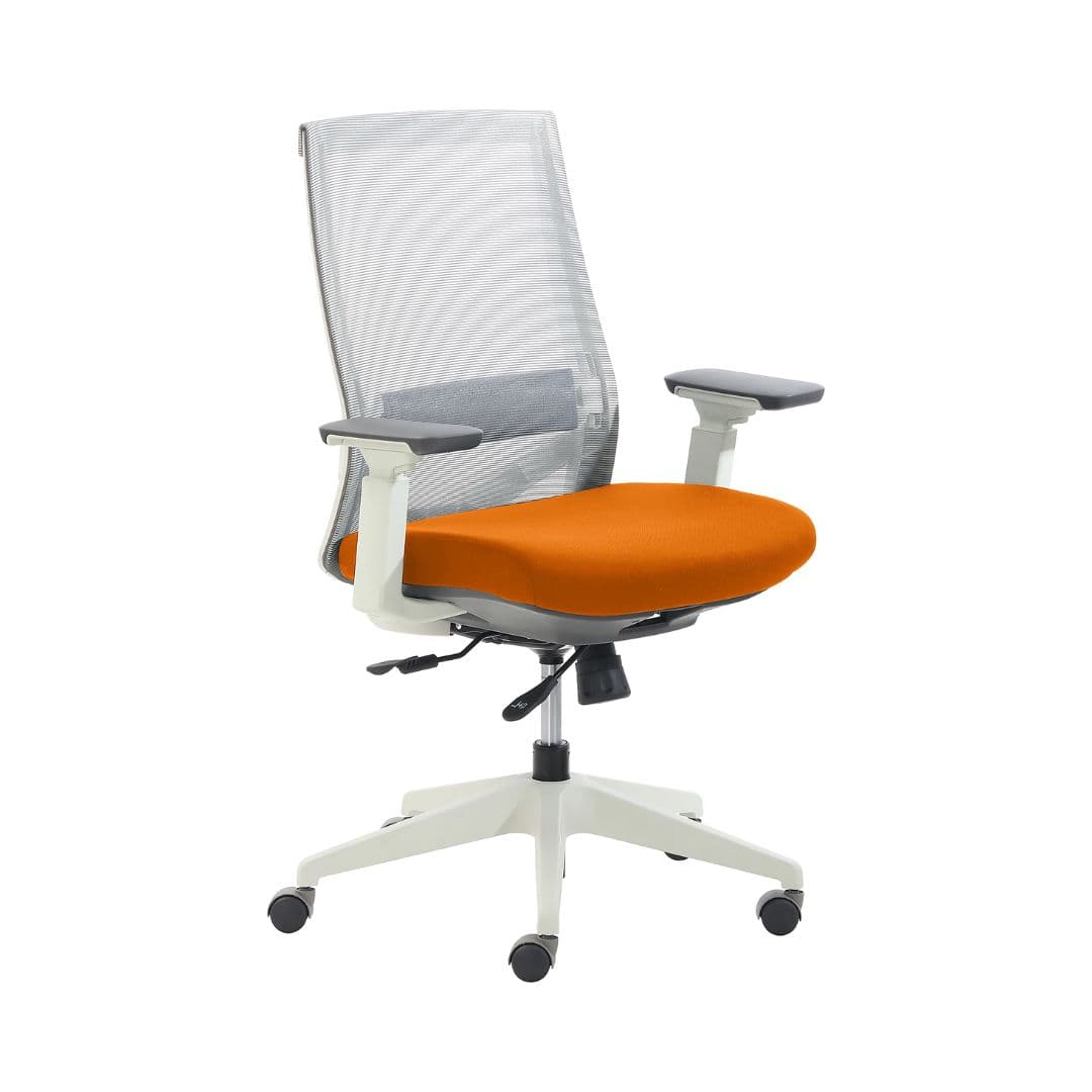 Bodi Task Chairs