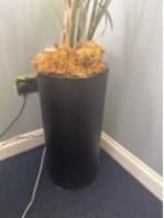 Pot