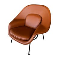 Womb Lounge Chair